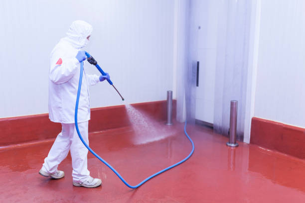 Best Pre-Holiday Cleaning  in Marion, MT